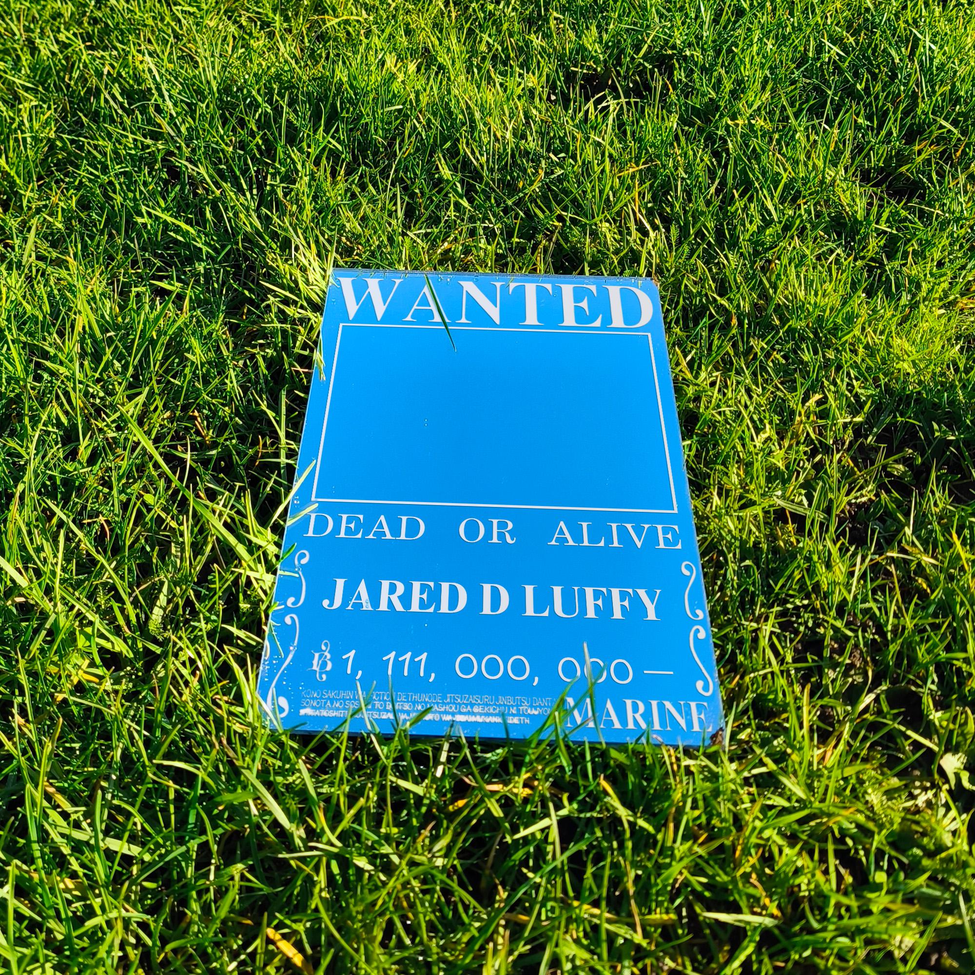 "WANTED" Bounty Mirror